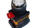 КНОПКА ABLFS-22 НЕОН ИЕК ПРОЗ